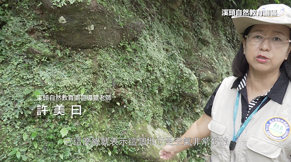 南投環教場域深呼吸－竹山．溪頭線介紹